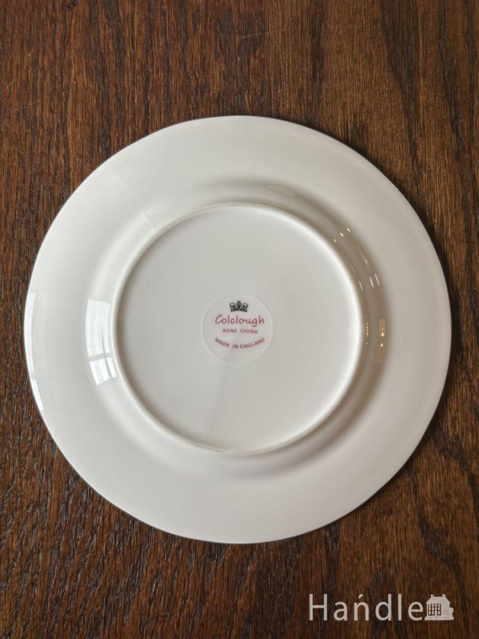 プレートの後ろ