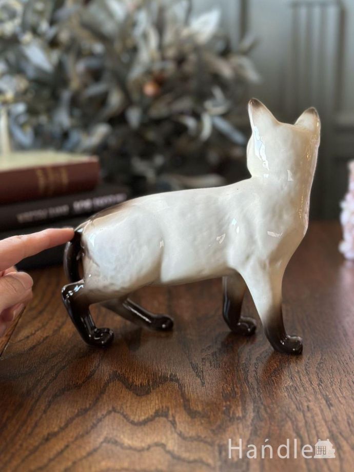 大きさはこれくらいです