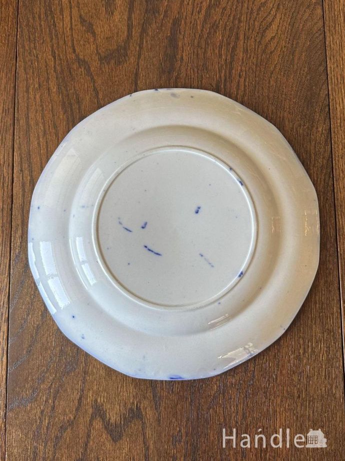 プレートの後ろ