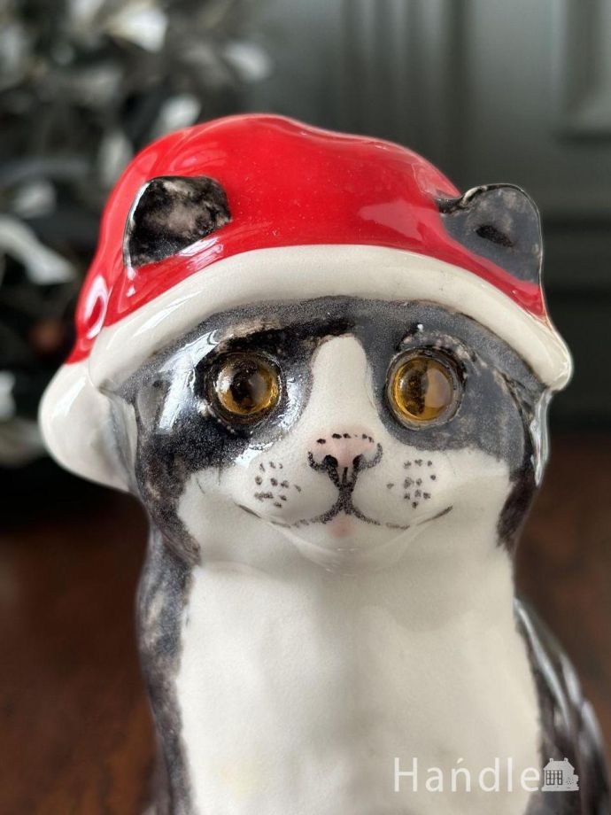 ウィンスタンレイキャット