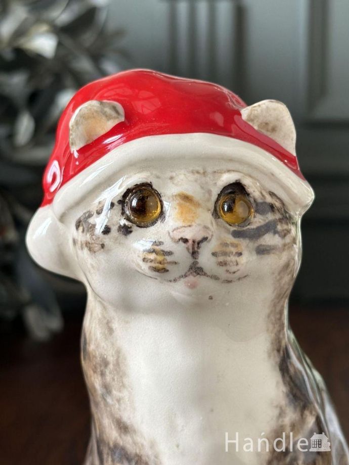 ウィンスタンレイキャット