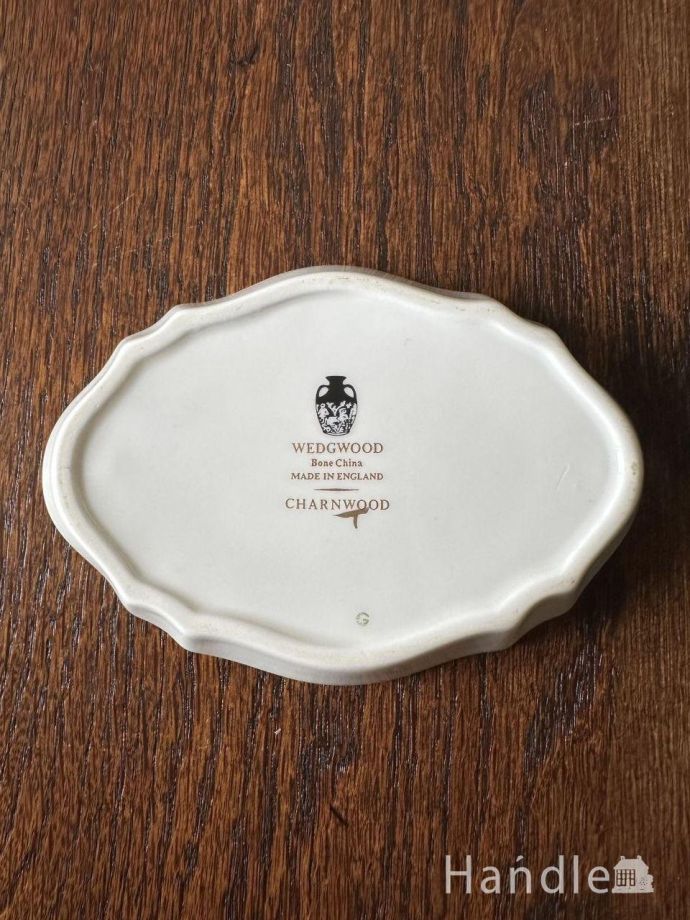 プレートの後ろ