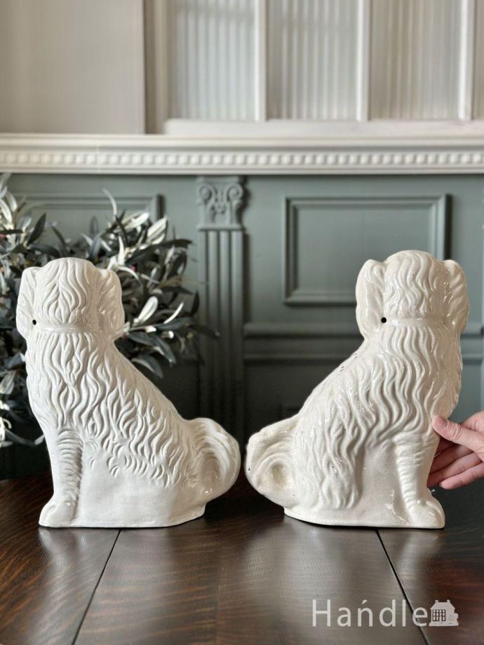 大きさはこれくらいです