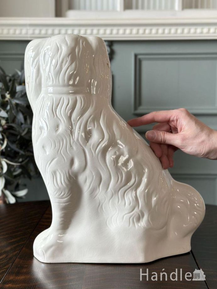 大きさはこれくらいです