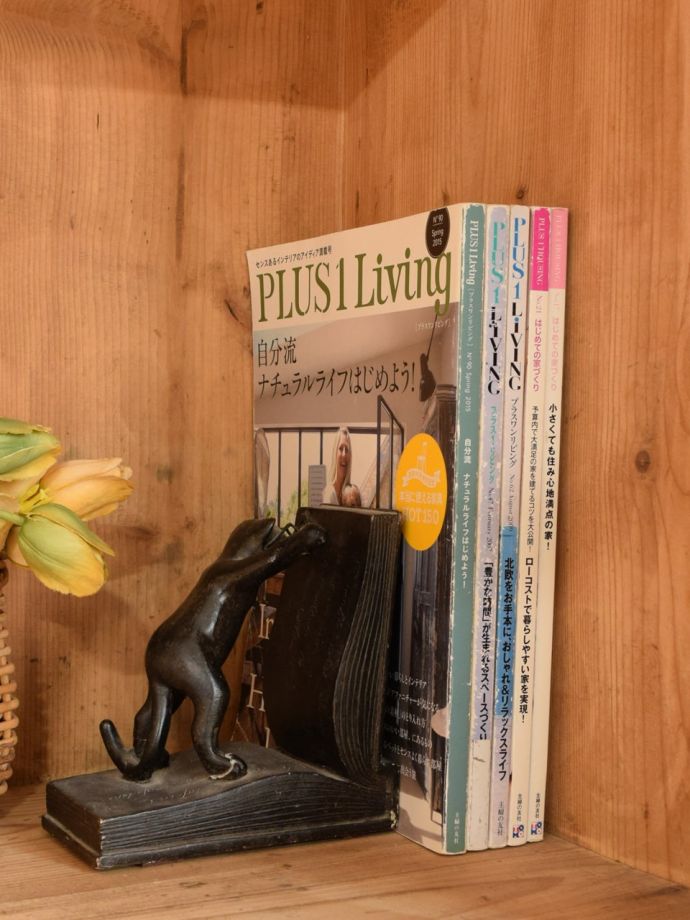 キャビネットの収納