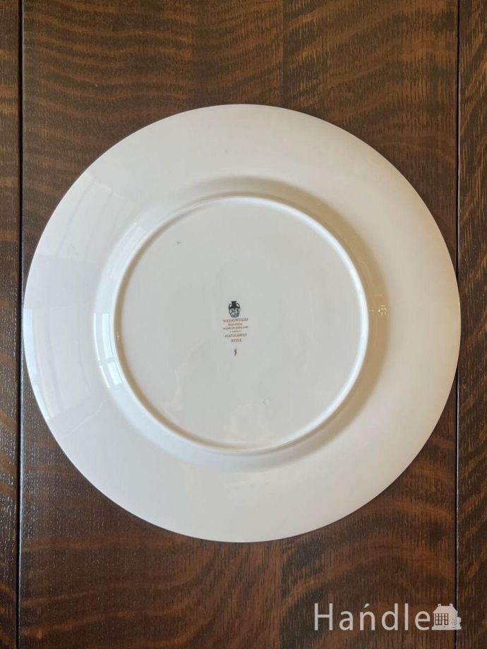 プレートの後ろ