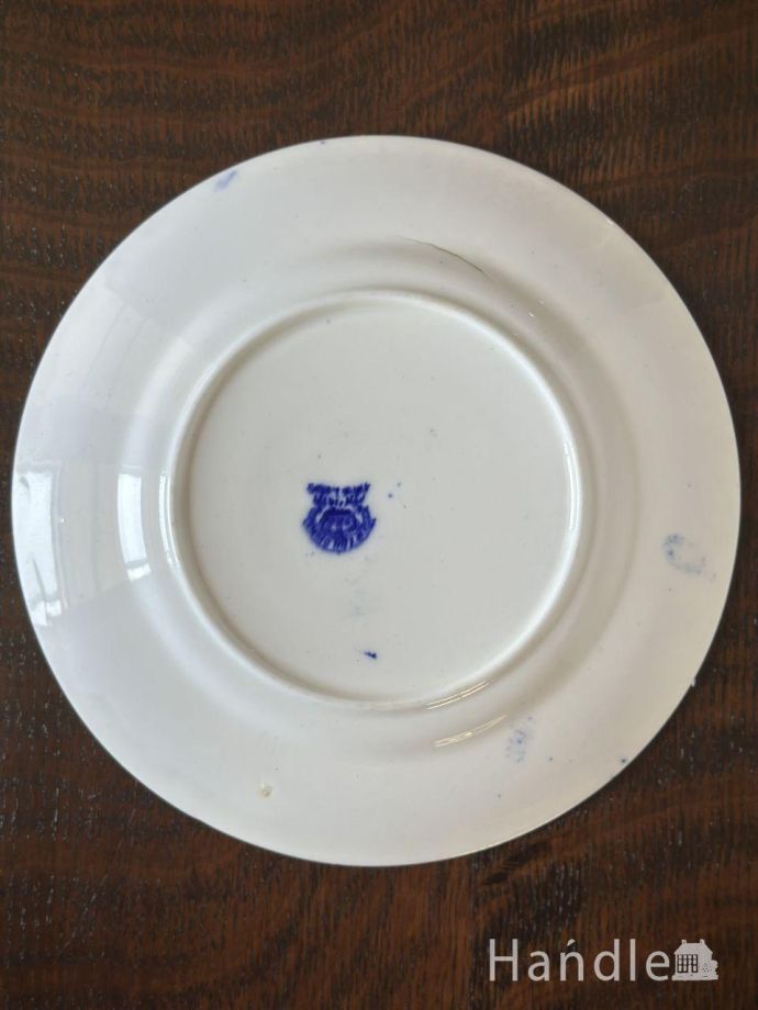 プレートの後ろ