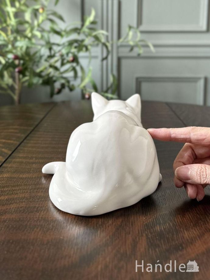 大きさはこれくらいです