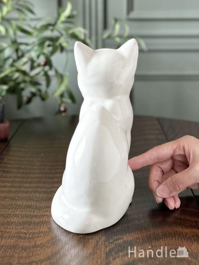 大きさはこれくらいです