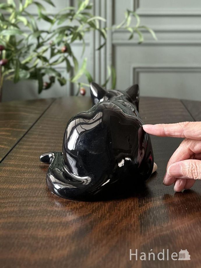 大きさはこれくらいです