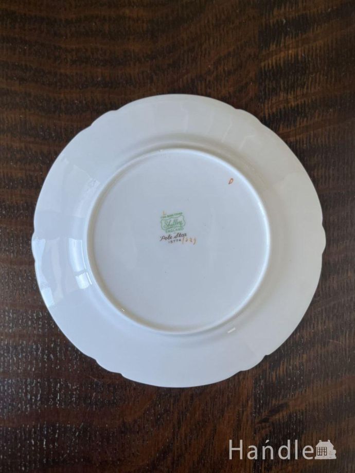 プレートの後ろ