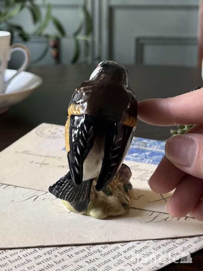 大きさはこれくらいです