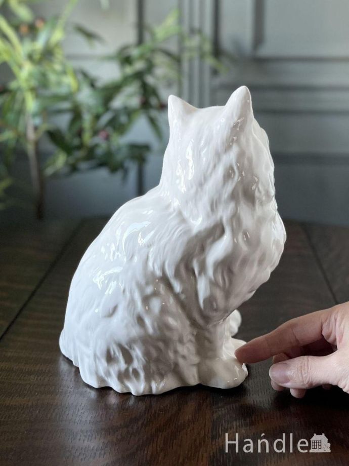 大きさはこれくらいです