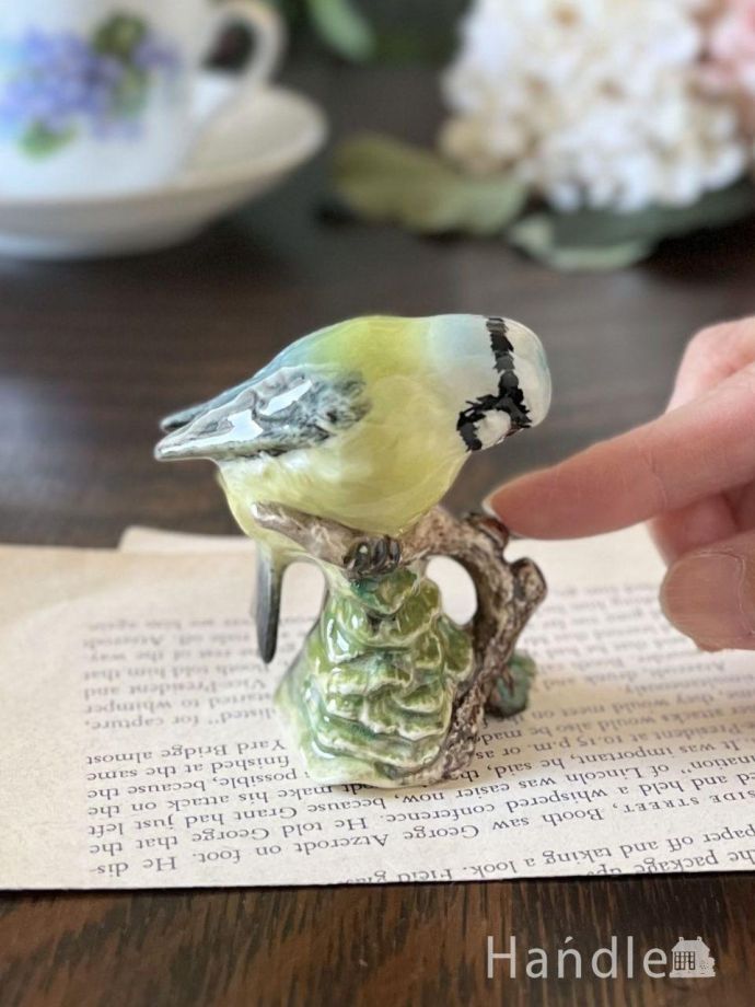 大きさはこれくらいです