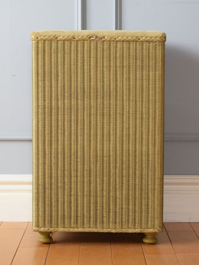 ロイドルームボックスの後ろ姿