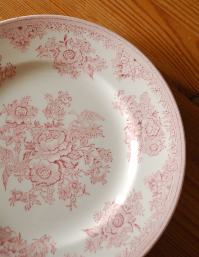 英国バーレイ社のアジアンティックフェザンツ