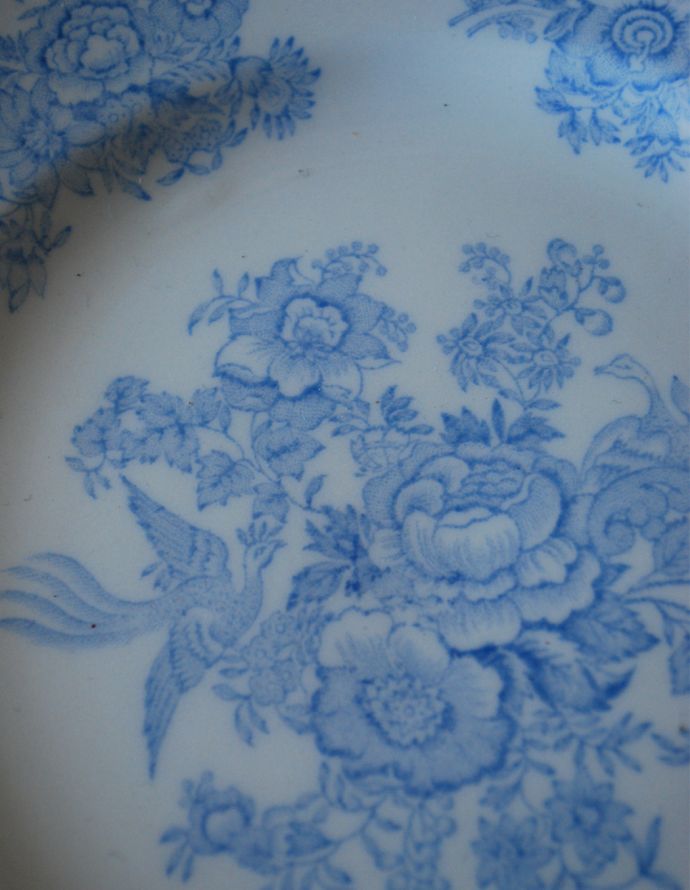 英国バーレイ社のアジアンティックフェザンツ