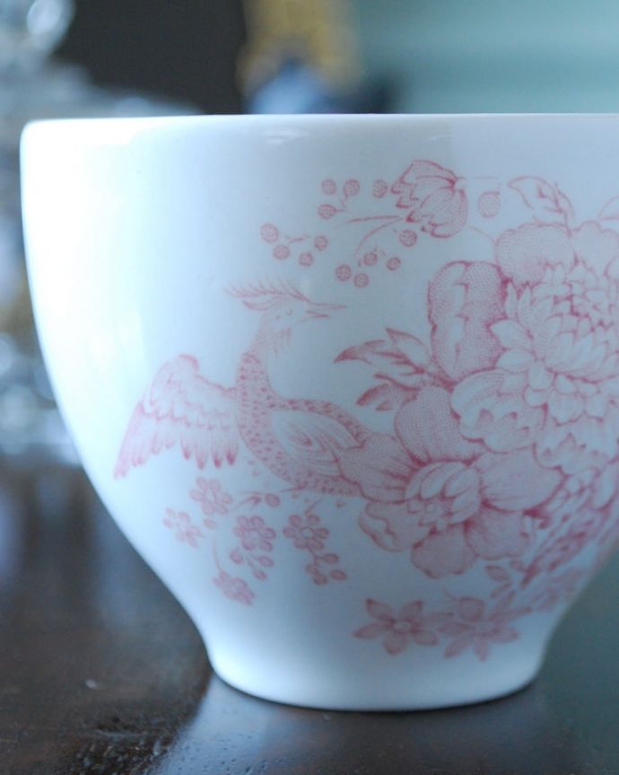 英国バーレイ社のアジアンティックフェザンツ