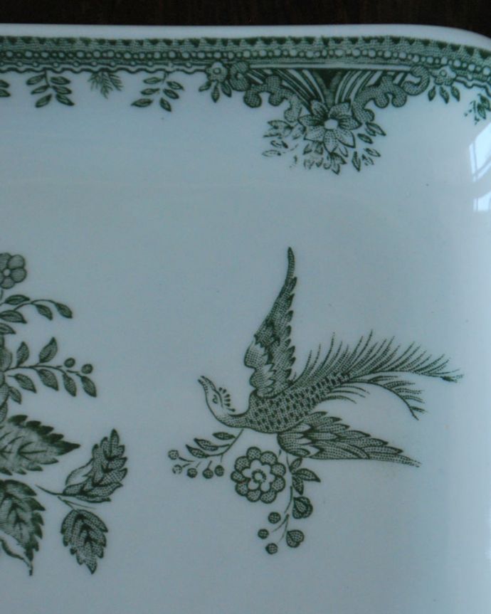 英国バーレイ社のアジアンティックフェザンツ