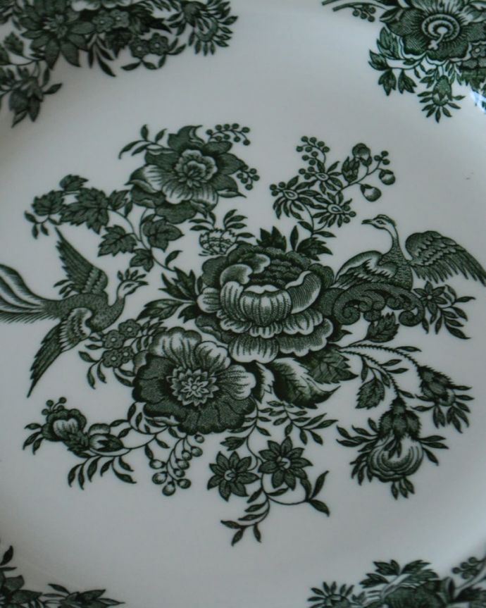 英国バーレイ社のアジアンティックフェザンツ