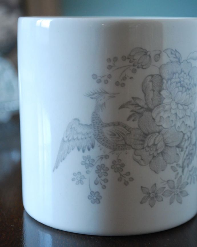 英国バーレイ社のアジアンティックフェザンツ