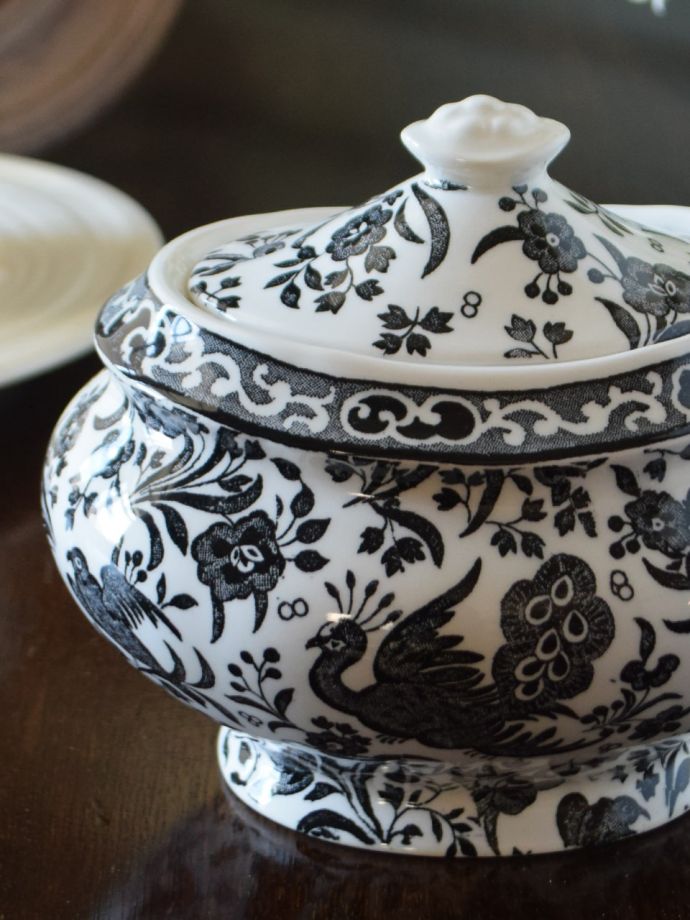 英国バーレイ社のリーガルピーコック