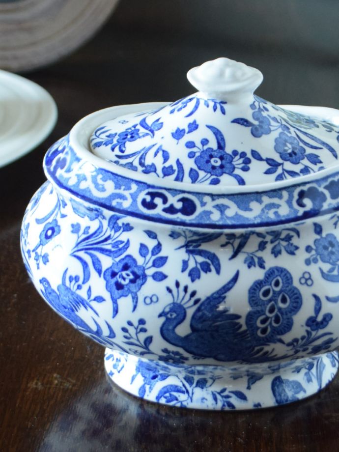 英国バーレイ社のリーガルピーコック