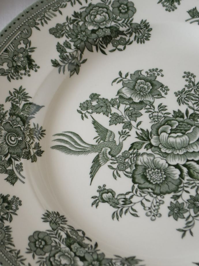 英国バーレイ社のアジアンティックフェザンツ