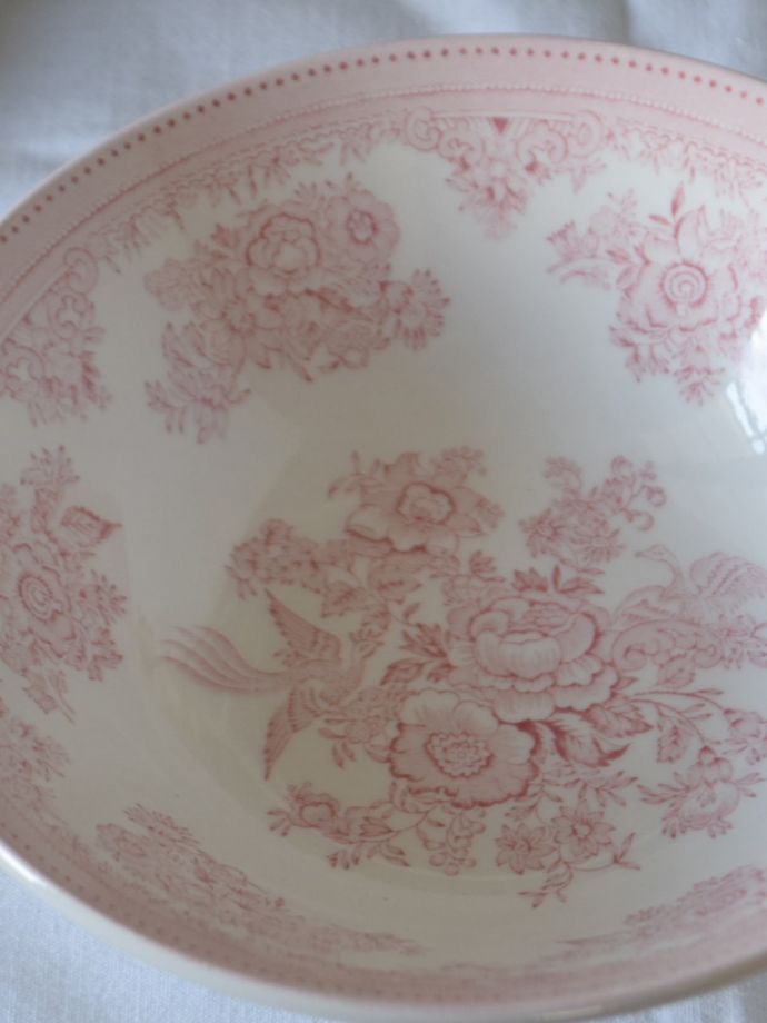 英国バーレイ社のアジアンティックフェザンツ