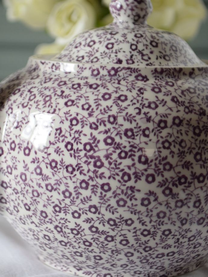 英国バーレイ社のフェリシティ