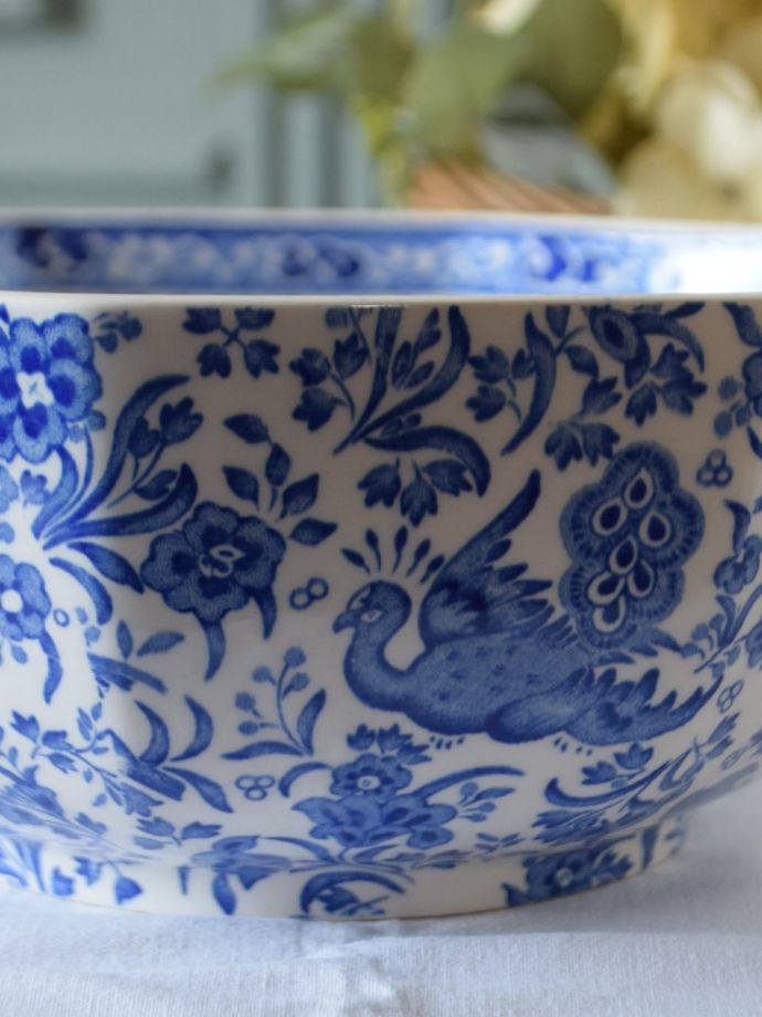 英国バーレイ社のリーガルピーコック