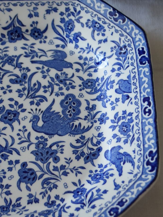 英国バーレイ社のリーガルピーコック