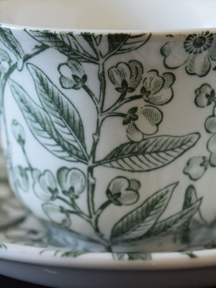 英国バーレイ社のグリーンプルナス