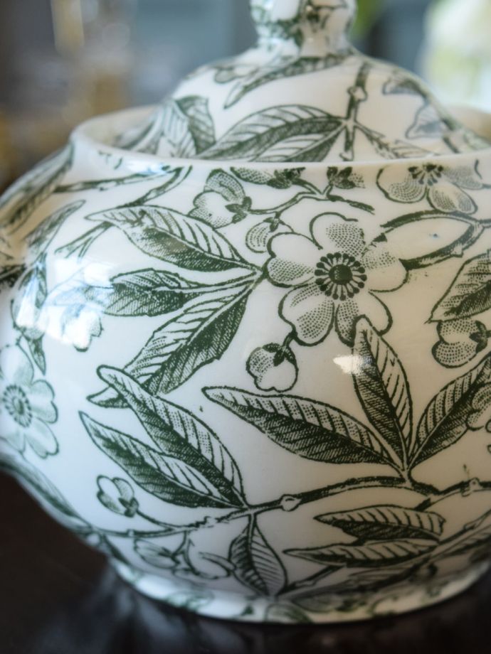 英国バーレイ社のグリーンプルナス