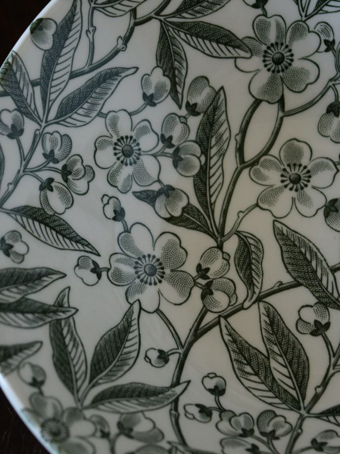 英国バーレイ社のグリーンプルナス