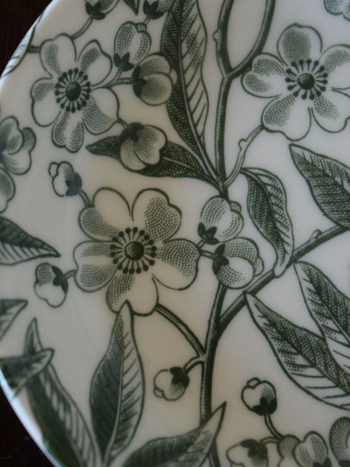 英国バーレイ社のグリーンプルナス