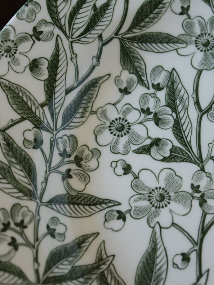 英国バーレイ社のグリーンプルナス