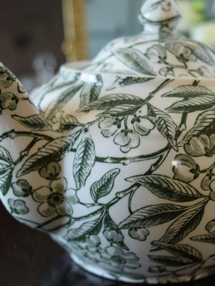 英国バーレイ社のグリーンプルナス