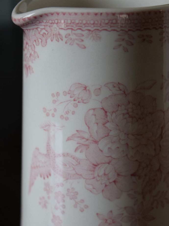 英国バーレイ社のアジアンティックフェザンツ