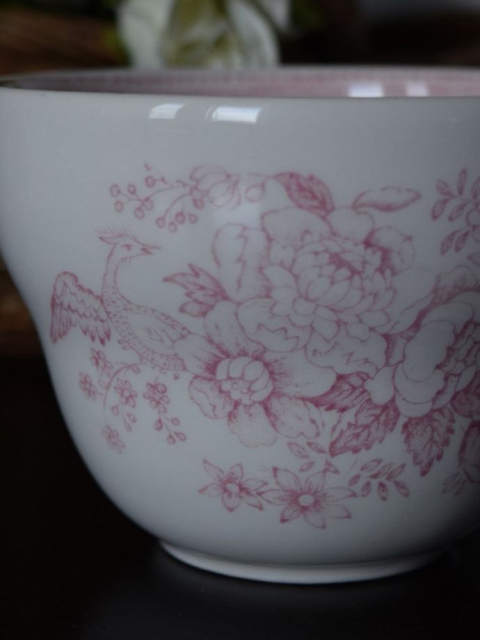 英国バーレイ社のアジアンティックフェザンツ