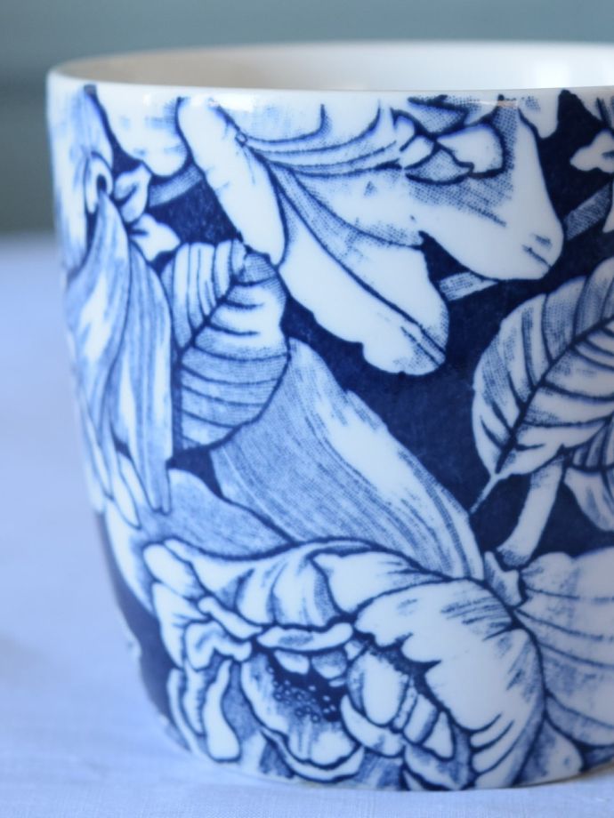 英国バーレイ社のインクブルーハイビスカス