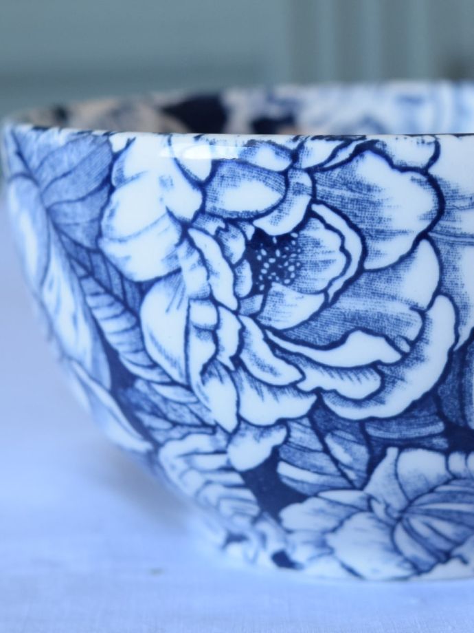 英国バーレイ社のインクブルーハイビスカス