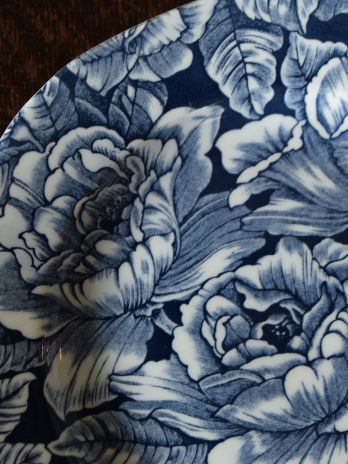 英国バーレイ社のインクブルーハイビスカス