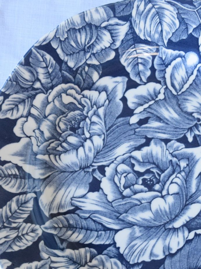 英国バーレイ社のインクブルーハイビスカス