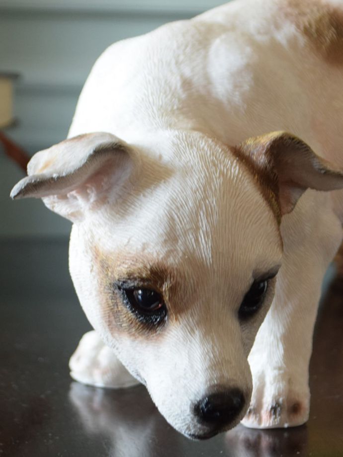 おしゃれなディスプレイ雑貨