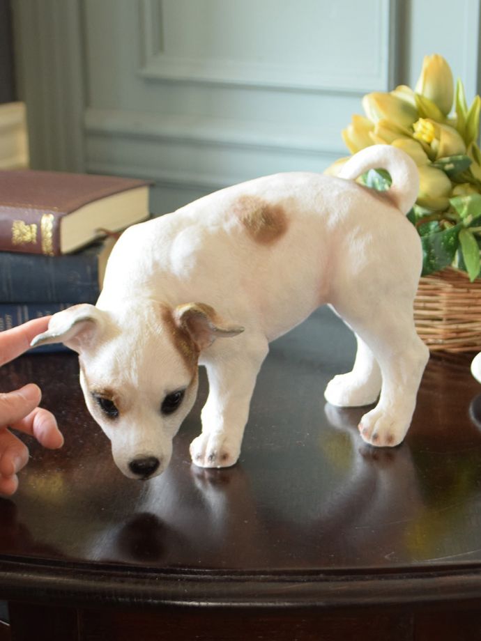 可愛いディスプレイ雑貨