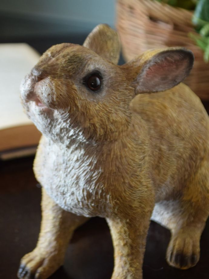 おしゃれなディスプレイ雑貨