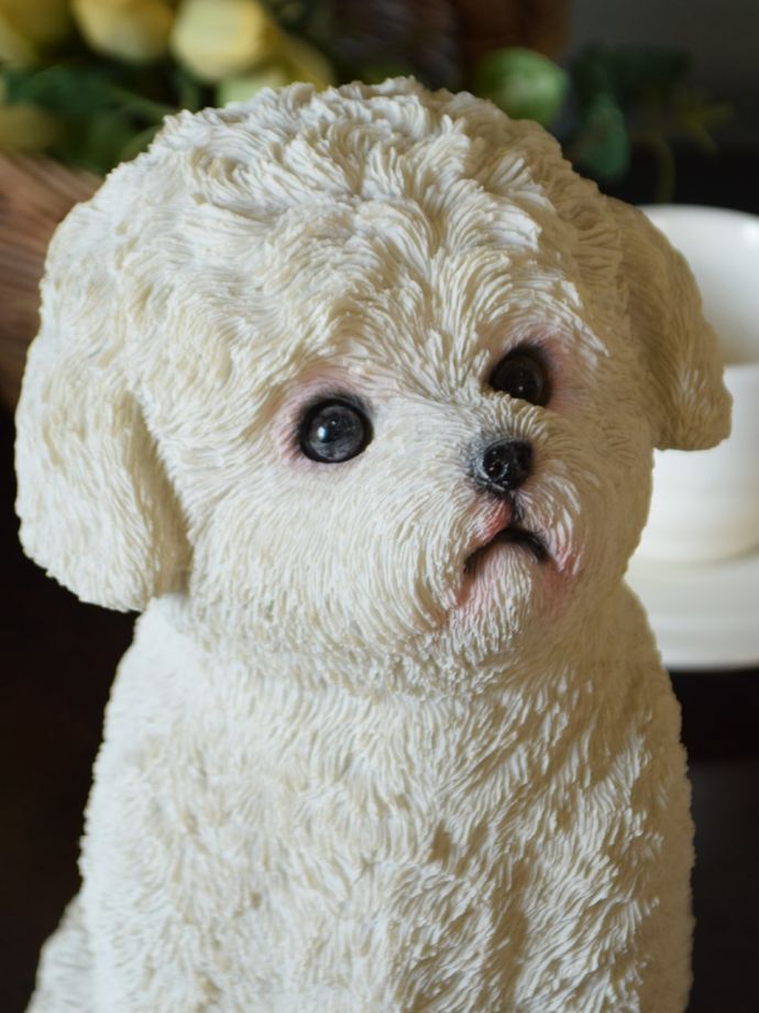 おしゃれなディスプレイ雑貨