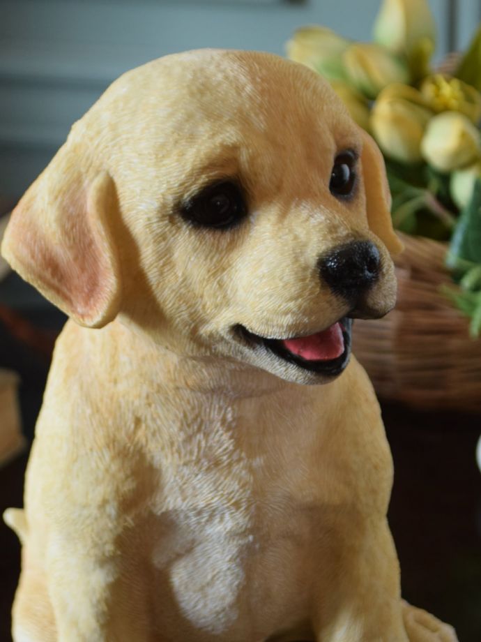 おしゃれなディスプレイ雑貨