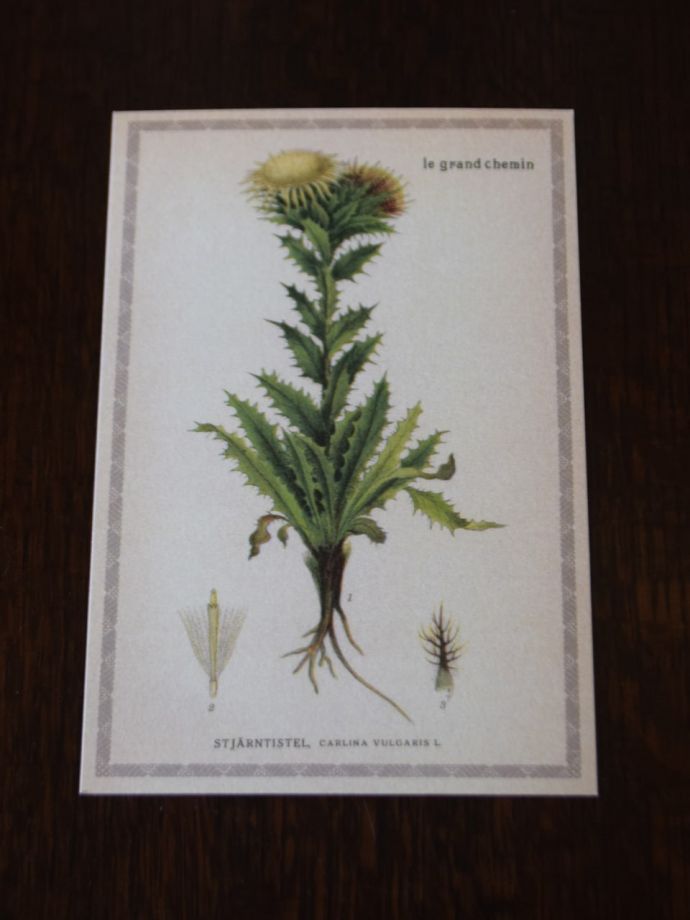 フランスのアンティーク調のフラワーポストカードセット（8枚入り